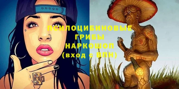 индика Алзамай