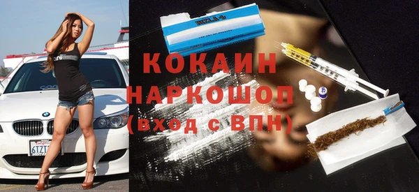 индика Алзамай