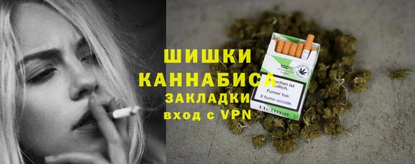дмт Арсеньев